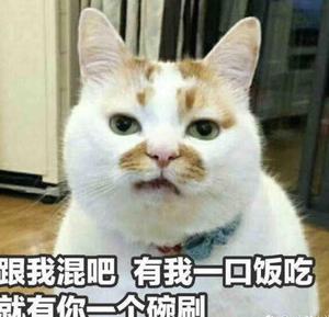 周大大音乐物语头像