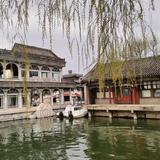 wenshuai888881头像