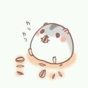 miku_miku的个人资料头像
