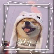 Louis113的个人资料头像
