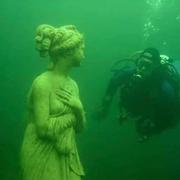 Random767的个人资料头像