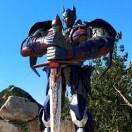 胖胖鱼的个人资料头像