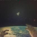 巧克力饼干_的个人资料头像