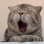 用户2175031825672的个人资料头像