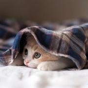 xrnm的个人资料头像