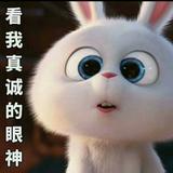 余小超535头像