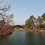 淡泊金桔R7头像