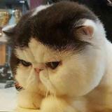 用户1280362308679头像