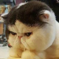 用户1280362308679头像