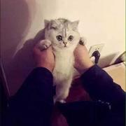 tongdada的个人资料头像