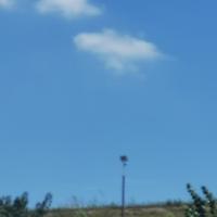 周周小学森头像