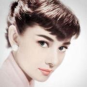 半糖500的个人资料头像