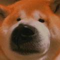 安徽彭于晏头像