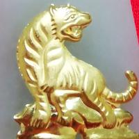 爱生活的晚风RWi1头像