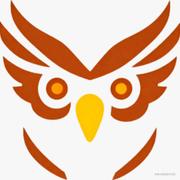 猫头鹰AI的个人资料头像