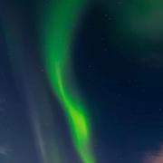 夭夭452的个人资料头像