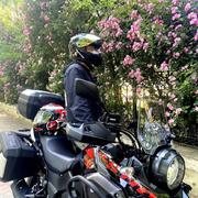 MMMMc的个人资料头像