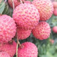 心中有海1399头像