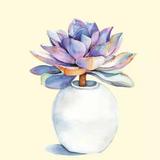 芳芳35935头像