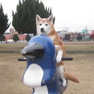 用户2536698826761头像