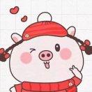 鑫在掘金86195的个人资料头像