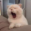 一块五的个人资料头像