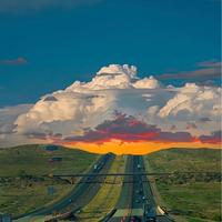 大白皇帝啊头像