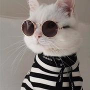 恒歆梦点的个人资料头像