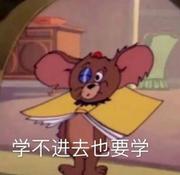 前端雾辰的个人资料头像