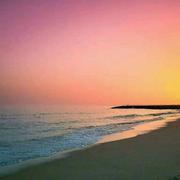 半旧810的个人资料头像