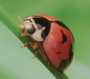 yz_的个人资料头像