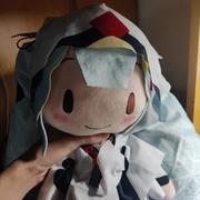 shashark的个人资料头像