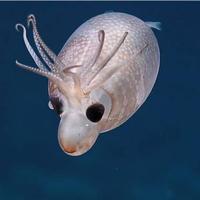 用户6912333071941头像