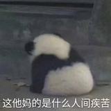 扶朕起来朕还能皮头像