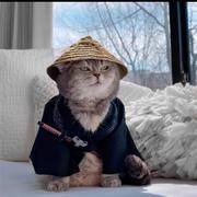 Matt803的个人资料头像