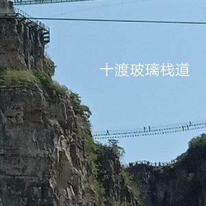 莫嘚瑟wei头像