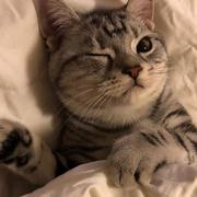 暗涌517的个人资料头像