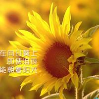 我爱中国xu头像