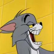 大肥狼的个人资料头像