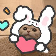 蝎子莱莱同学的个人资料头像