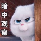 萌新小白在线选车头像
