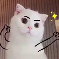 永杰1999头像