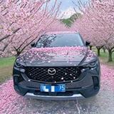 唯爱MAZDA头像