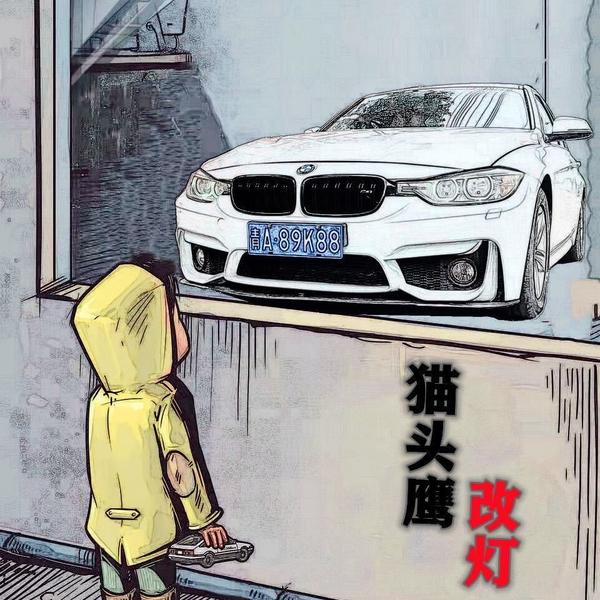 西宁猫头鹰改灯头像