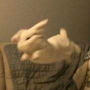 用户2296682488502的个人资料头像