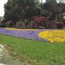 黄震的个人资料头像