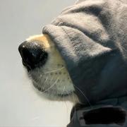 BBBe的个人资料头像