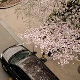 用户82718953136头像