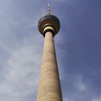 家有萌娃一条头像