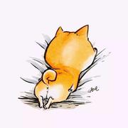 我的脚好凉的个人资料头像